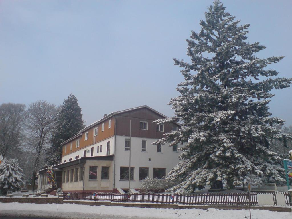 Hotel Sandplacken Schmitten Екстер'єр фото
